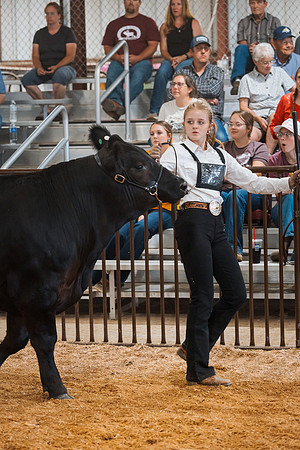 DAY5BEEFSHOWMANSHIP19