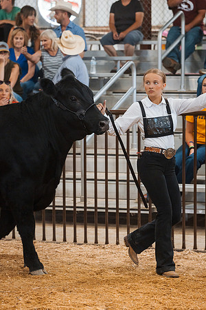 DAY5BEEFSHOWMANSHIP21