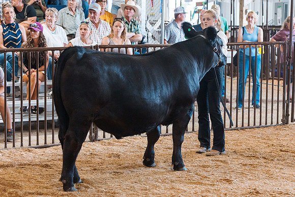 DAY5BEEFSHOWMANSHIP22