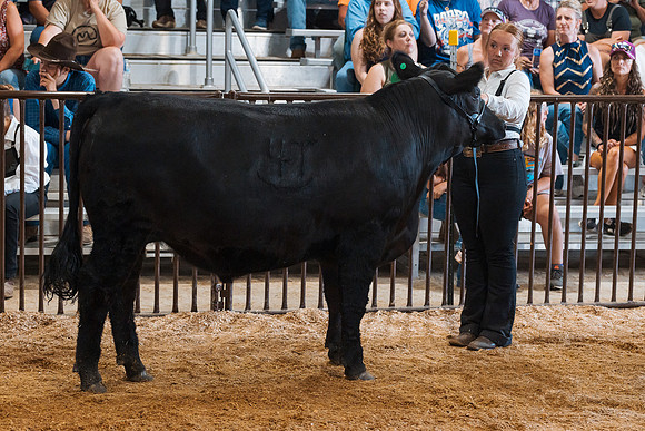 DAY5BEEFSHOWMANSHIP23