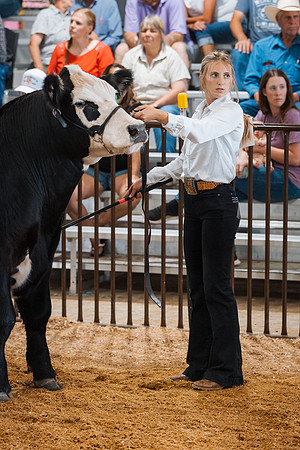 DAY5BEEFSHOWMANSHIP24
