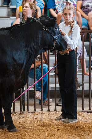 DAY5BEEFSHOWMANSHIP25