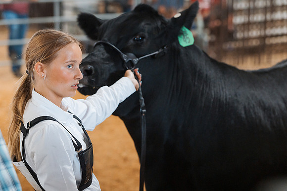 DAY5BEEFSHOWMANSHIP26