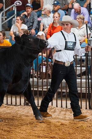 DAY5BEEFSHOWMANSHIP27