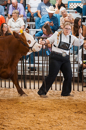 DAY5BEEFSHOWMANSHIP28