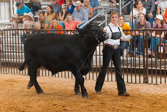 DAY5BEEFSHOWMANSHIP29