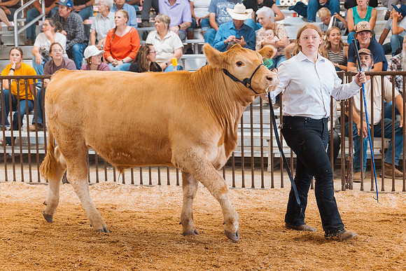 DAY5BEEFSHOWMANSHIP30