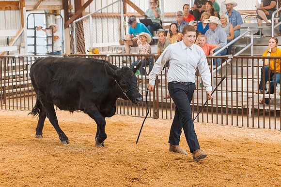 DAY5BEEFSHOWMANSHIP31