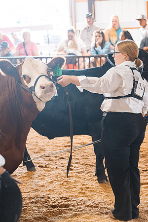 DAY5BEEFSHOWMANSHIP32