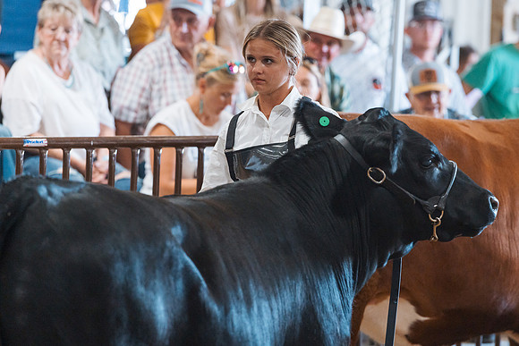DAY5BEEFSHOWMANSHIP37