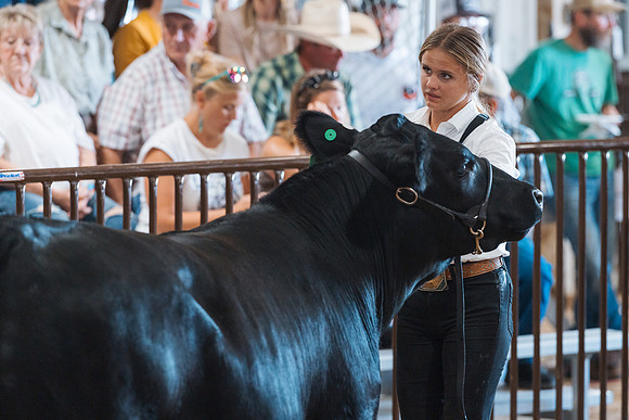 DAY5BEEFSHOWMANSHIP38