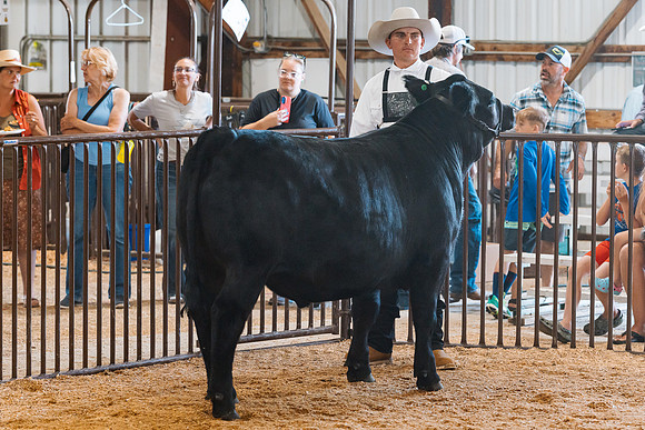 DAY5BEEFSHOWMANSHIP36