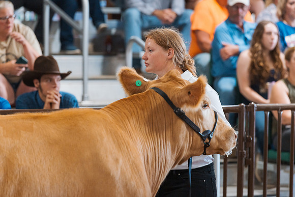 DAY5BEEFSHOWMANSHIP39