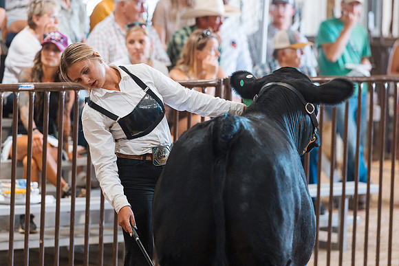 DAY5BEEFSHOWMANSHIP40