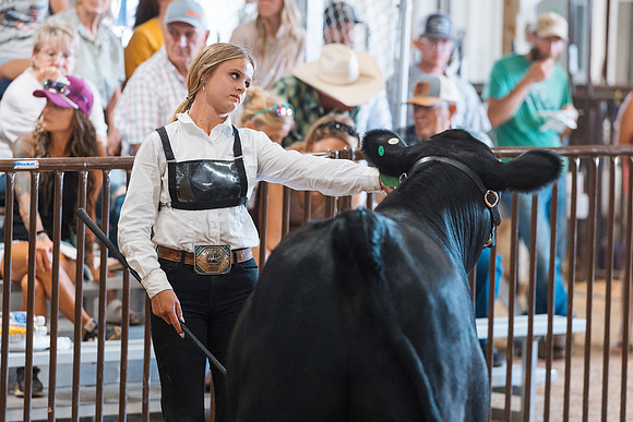 DAY5BEEFSHOWMANSHIP41