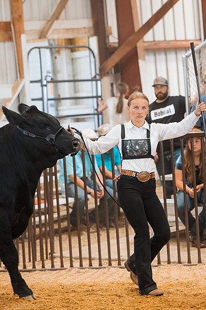 DAY5BEEFSHOWMANSHIP42