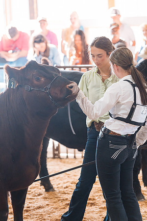 DAY5BEEFSHOWMANSHIP44