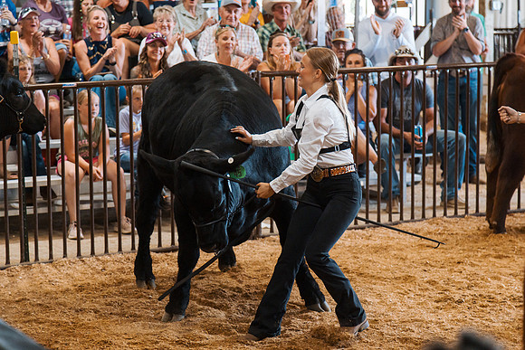 DAY5BEEFSHOWMANSHIP47