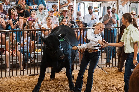 DAY5BEEFSHOWMANSHIP48