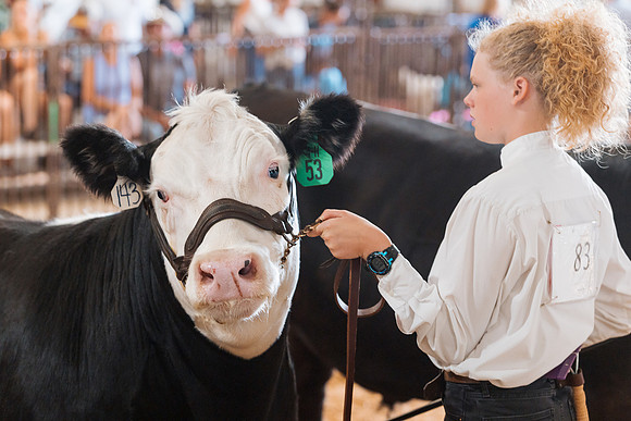 DAY5BEEFSHOWMANSHIP54
