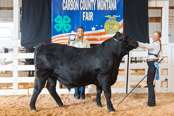 DAY5BEEFSHOWMANSHIP53