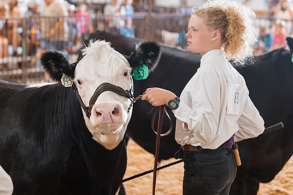 DAY5BEEFSHOWMANSHIP55