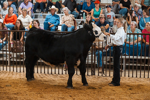 DAY5BEEFSHOWMANSHIP51