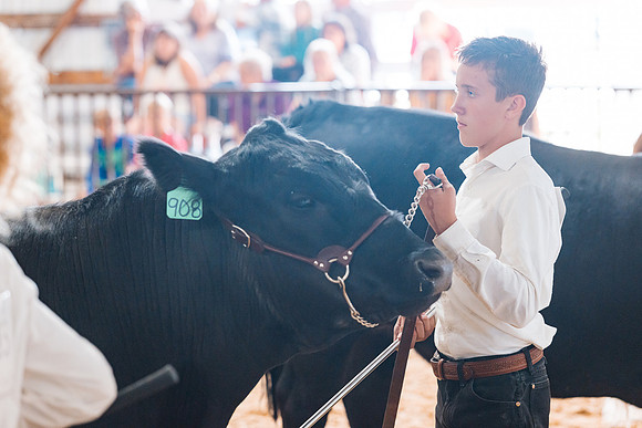 DAY5BEEFSHOWMANSHIP56