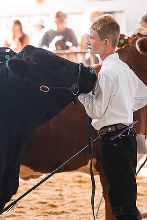 DAY5BEEFSHOWMANSHIP57