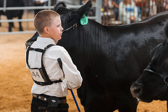 DAY5BEEFSHOWMANSHIP60