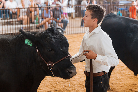 DAY5BEEFSHOWMANSHIP58