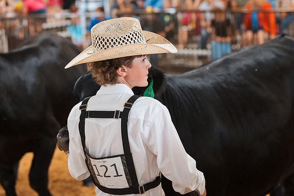 DAY5BEEFSHOWMANSHIP59