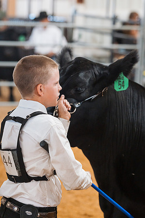 DAY5BEEFSHOWMANSHIP61