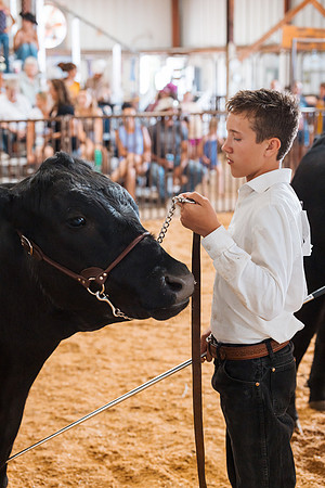 DAY5BEEFSHOWMANSHIP63