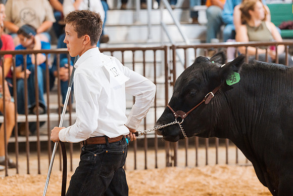 DAY5BEEFSHOWMANSHIP64