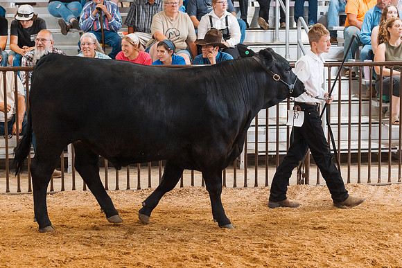 DAY5BEEFSHOWMANSHIP65