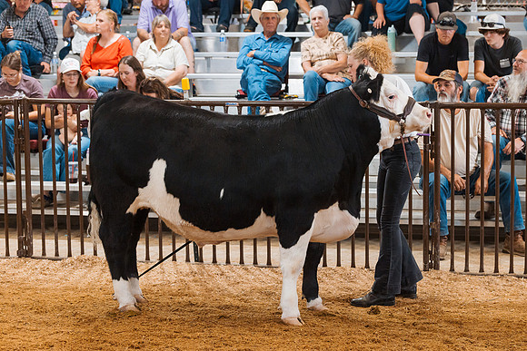 DAY5BEEFSHOWMANSHIP67