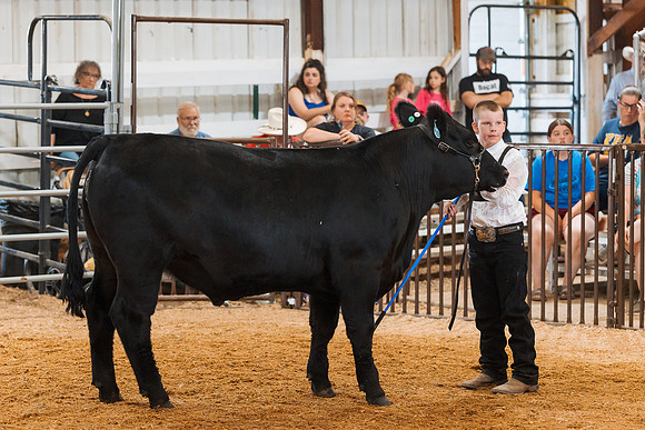 DAY5BEEFSHOWMANSHIP70