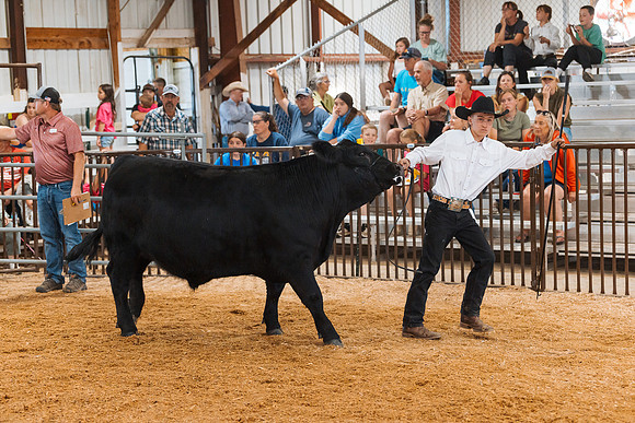 DAY5BEEFSHOWMANSHIP73
