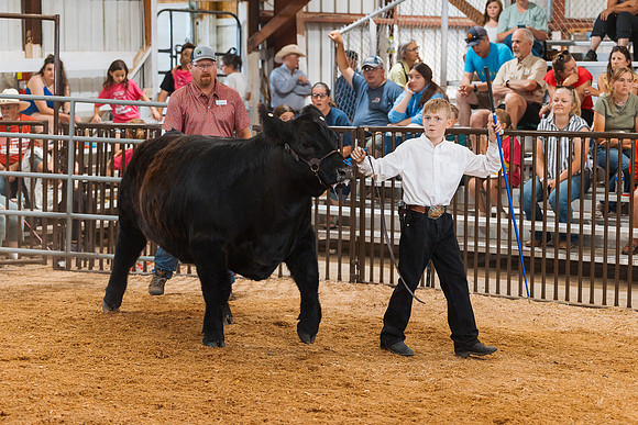 DAY5BEEFSHOWMANSHIP74