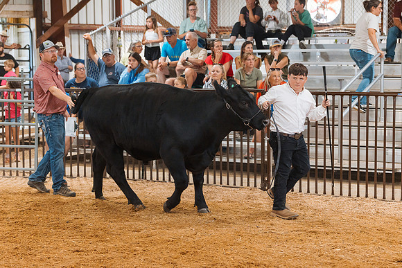 DAY5BEEFSHOWMANSHIP76