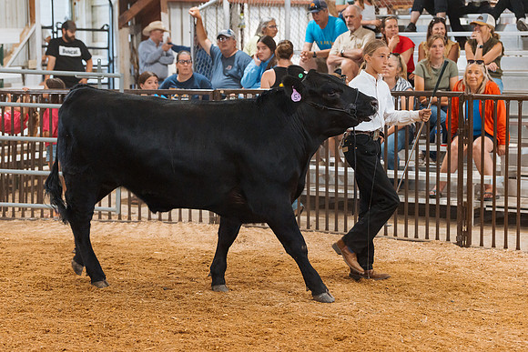 DAY5BEEFSHOWMANSHIP77