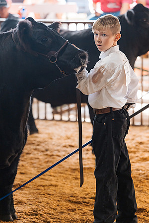 DAY5BEEFSHOWMANSHIP79