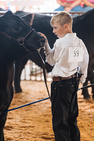 DAY5BEEFSHOWMANSHIP80