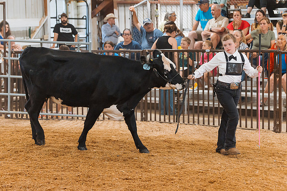 DAY5BEEFSHOWMANSHIP78