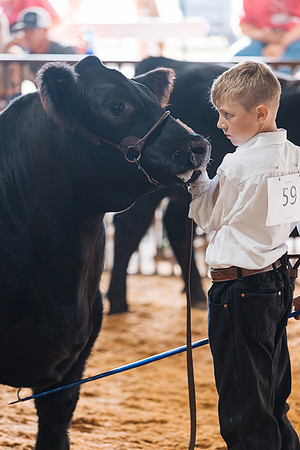 DAY5BEEFSHOWMANSHIP81