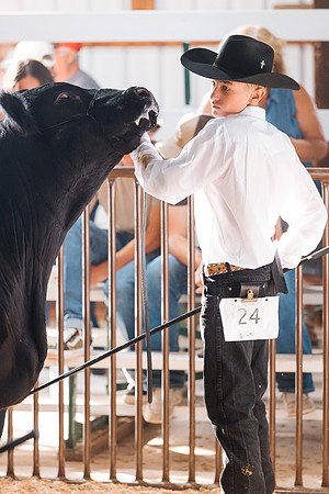 DAY5BEEFSHOWMANSHIP84