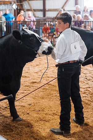DAY5BEEFSHOWMANSHIP83