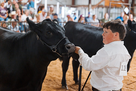DAY5BEEFSHOWMANSHIP85