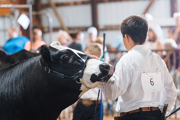 DAY5BEEFSHOWMANSHIP86